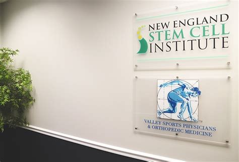 new england stem cell institute glastonbury